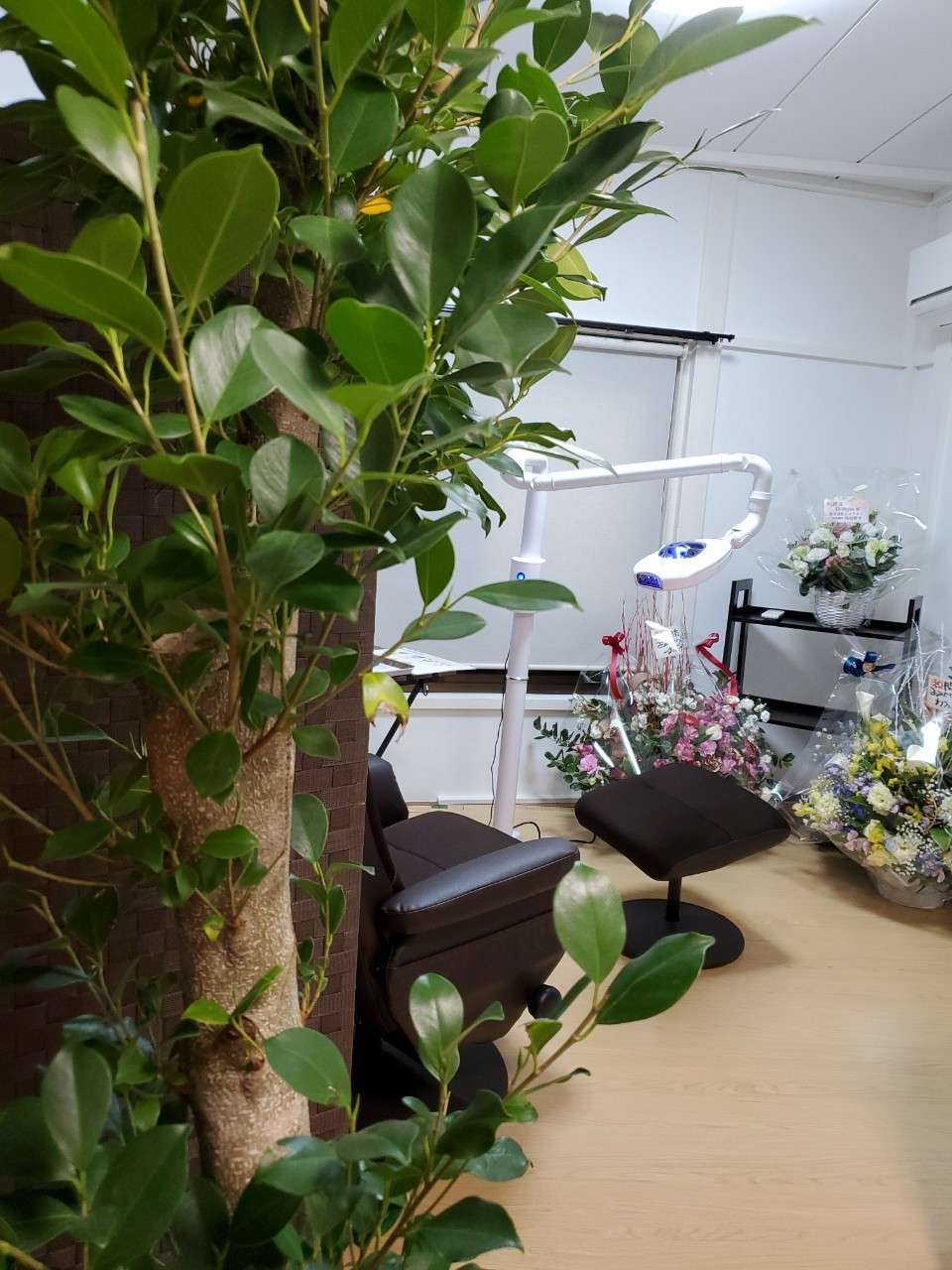 セルフホワイトニング